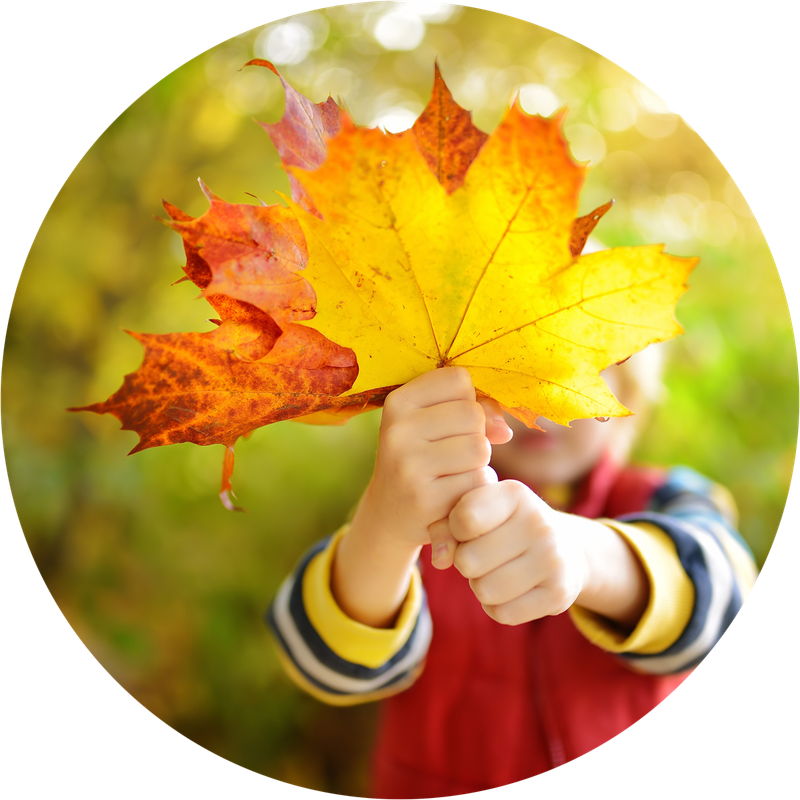 Herbst erspüren