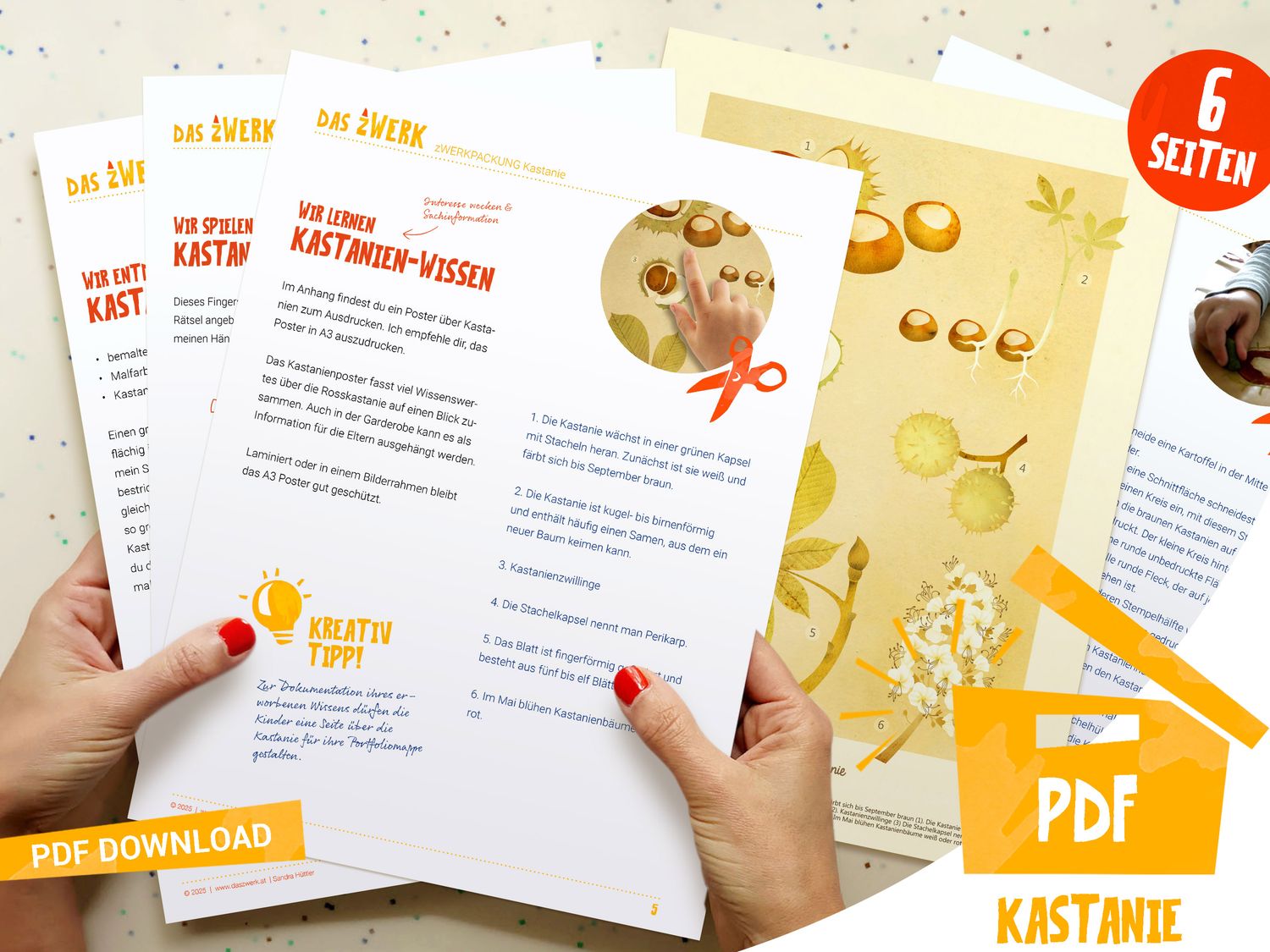 zWerkpackung Kastanie
