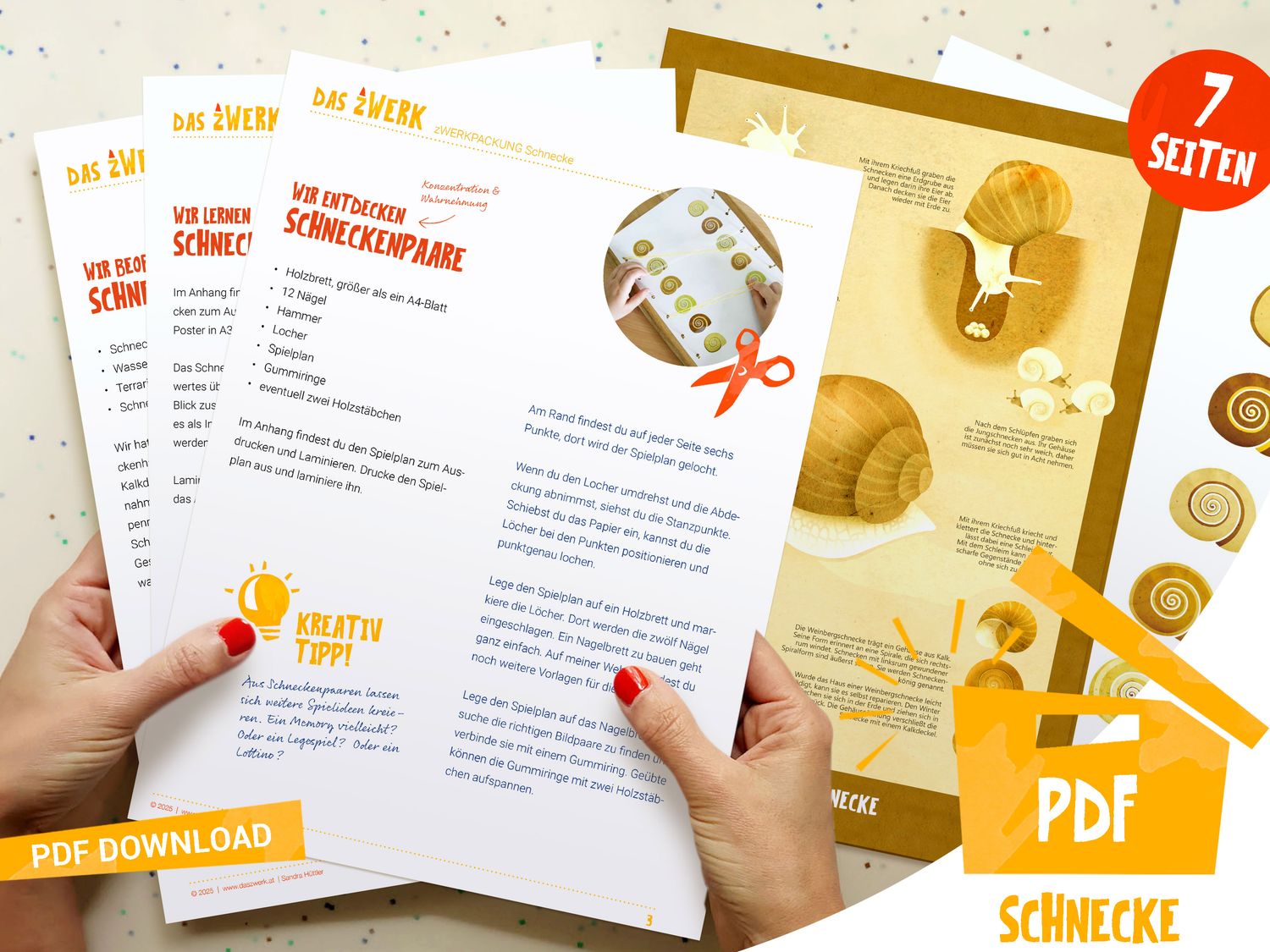 zWerkpackung Schnecke