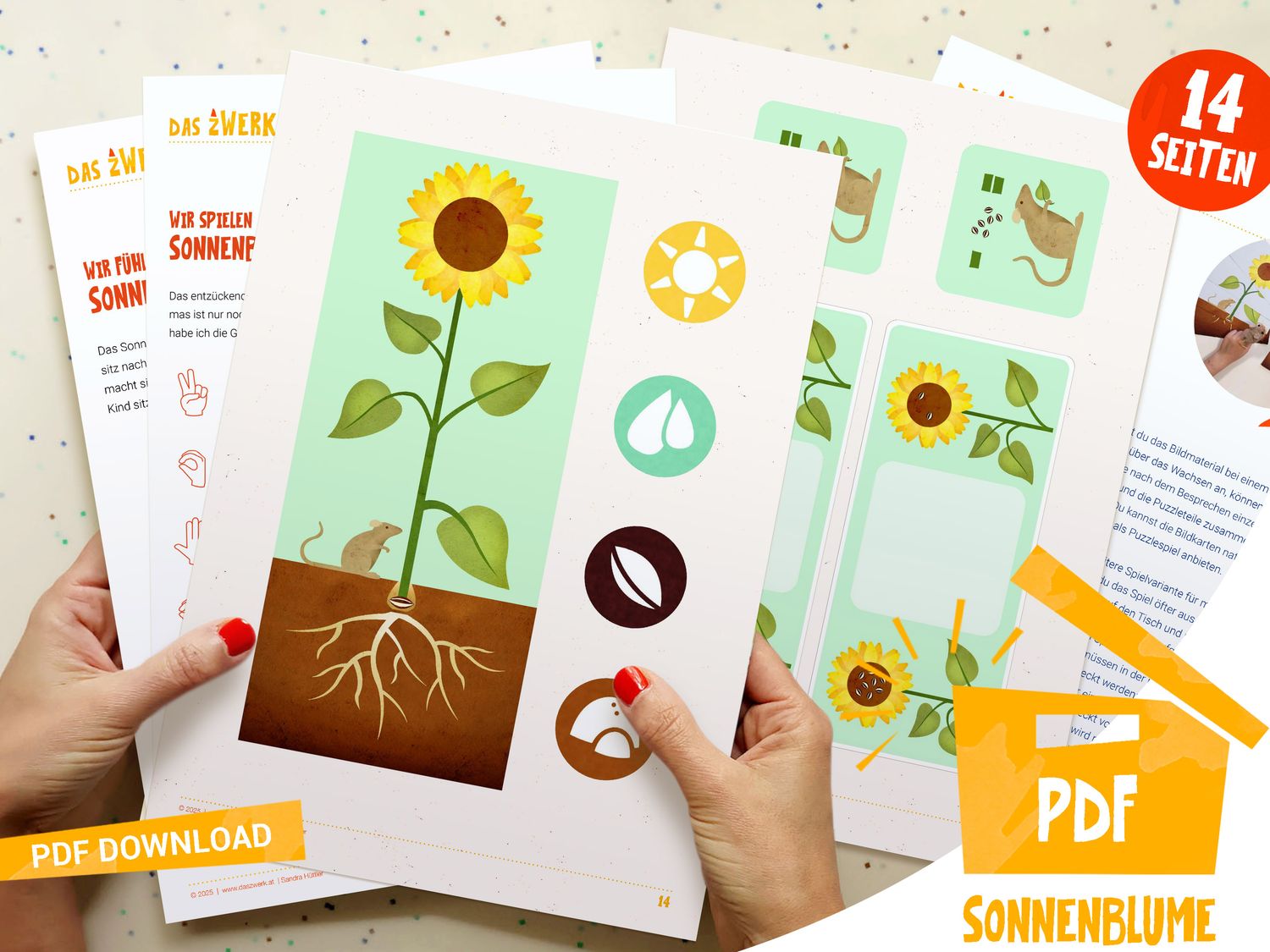 zWerkpackung Sonnenblume