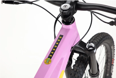 VTT HARO Saguaro 3