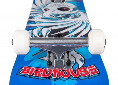 BIRDHOUSE COMPLETE STAGE 1 Hawk Spiral
