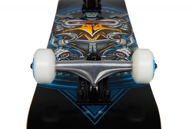 Tony Hawk SS 360 complet Robo Hawk