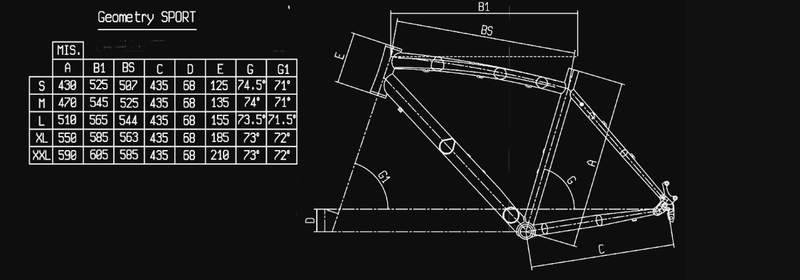 BIANCHI C-Sport Step Thru