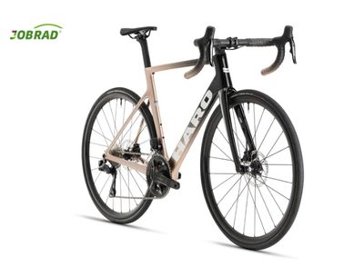 Rivette Carbone 2  HARO Rose brillant Or