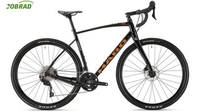 ​Gravel HARO BUZZARD ALLOY 2