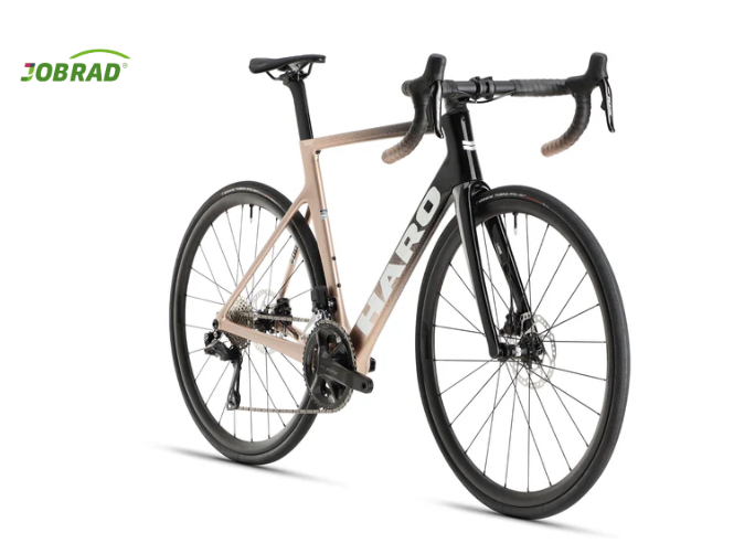 Rivette Carbone 2  HARO Rose brillant Or