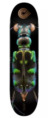 POWELL PERALTA DECK PS BISS TIGER BEETLE