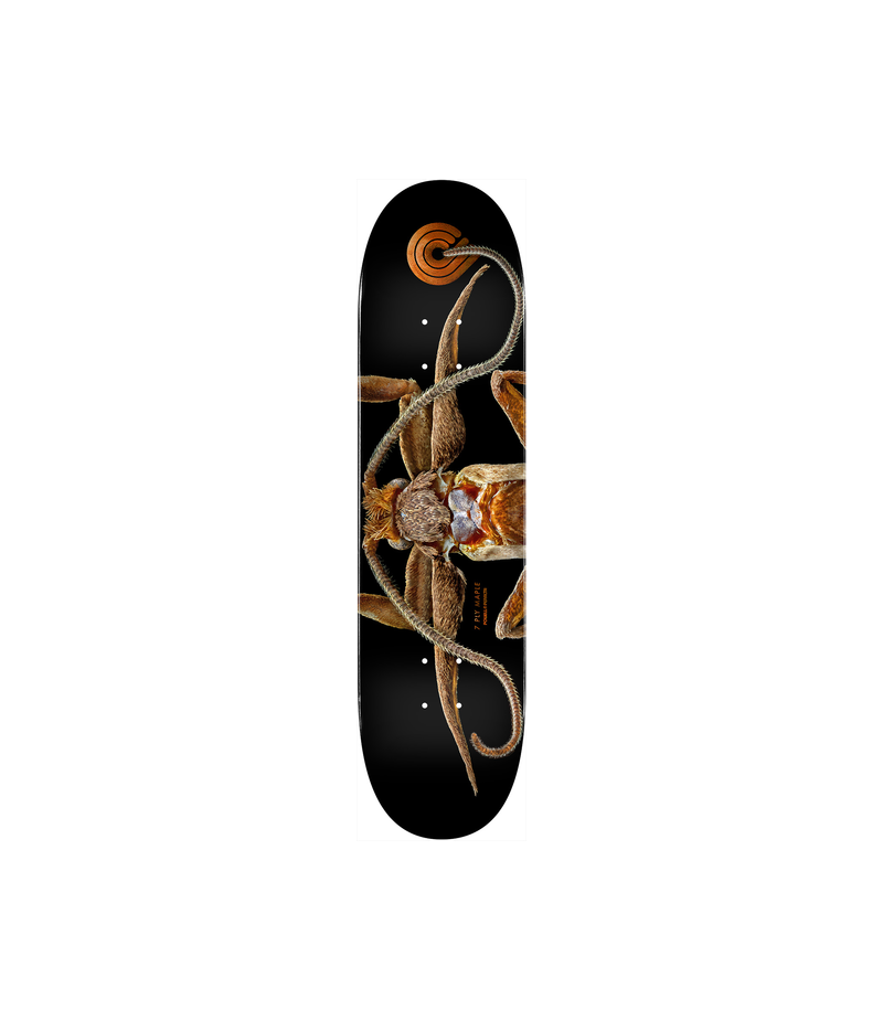POWELL PERALTA DECK PS BISS MARION MOTH 8.25 X 31.95