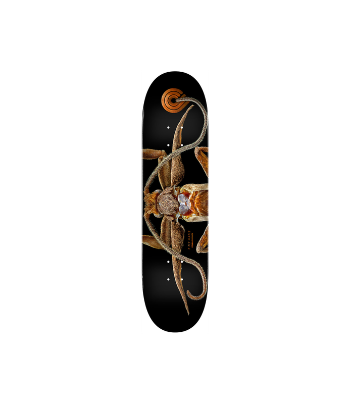 POWELL PERALTA DECK PS BISS MARION MOTH 8.25 X 31.95
