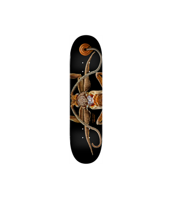 POWELL PERALTA DECK PS BISS MARION MOTH 8.25 X 31.95