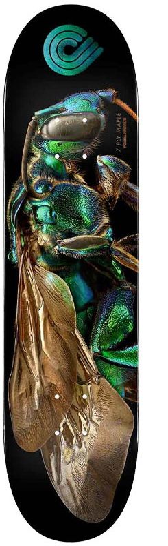 Powell-Peralta Levon Biss Orchid Cuckoo Bee