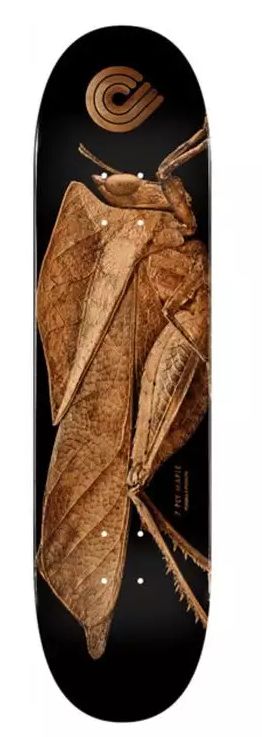 Plateau skate POWELL PERALTA  Biss Leaf Grasshopper