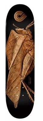 Plateau skate POWELL PERALTA  Biss Leaf Grasshopper