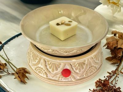 Volcano Scented Soy Wax Melts – Tropical Fruit & Driftwood Aroma