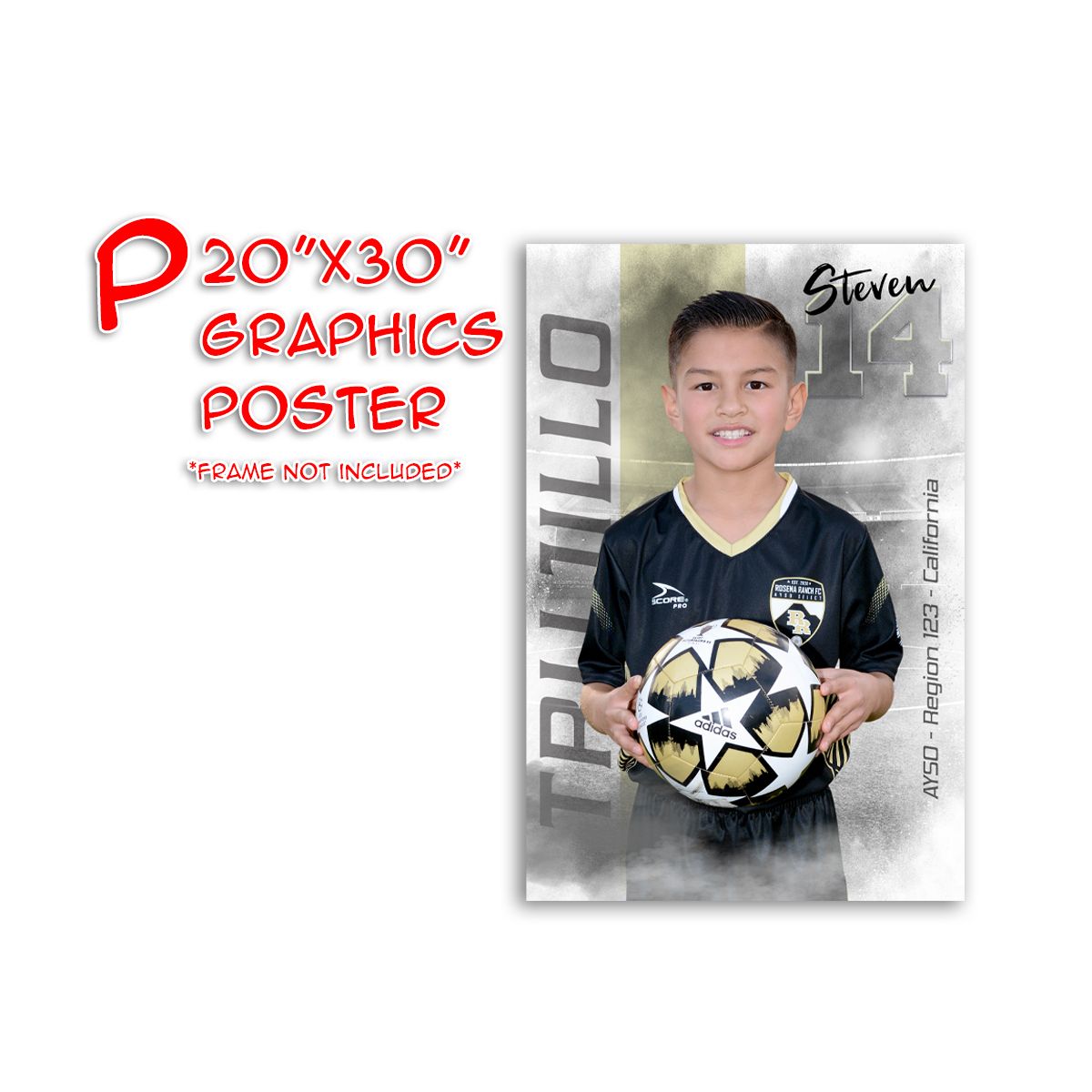P - 20&quot;x30&quot; Graphics Poster