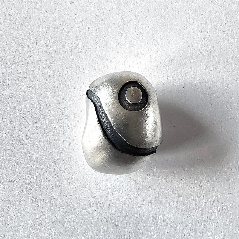 Pebble S