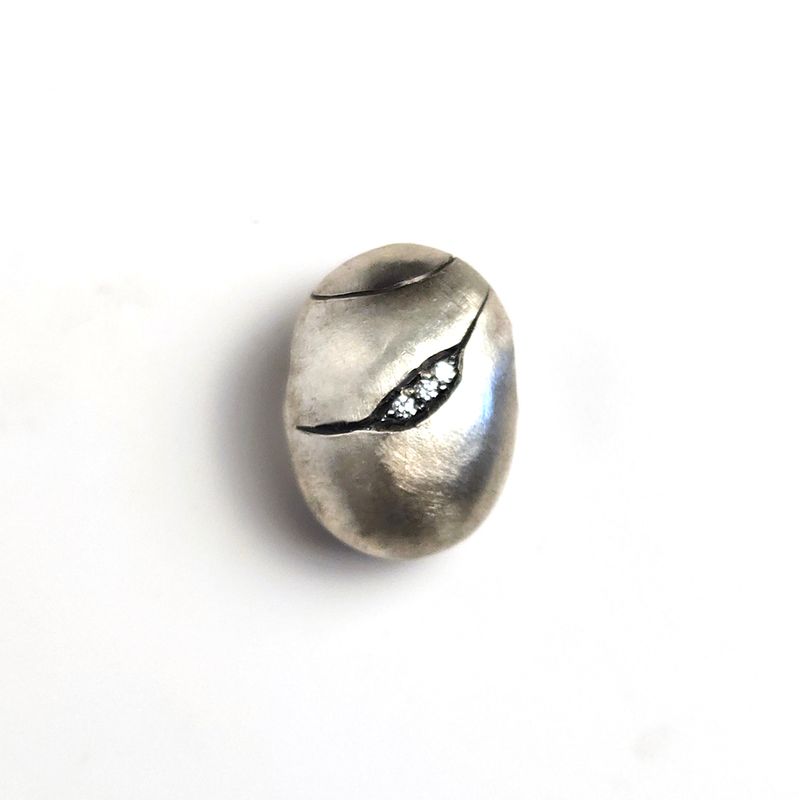 SNAIL PEBBLE