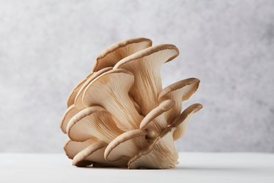 Bio oesterzwammen en shiitakes