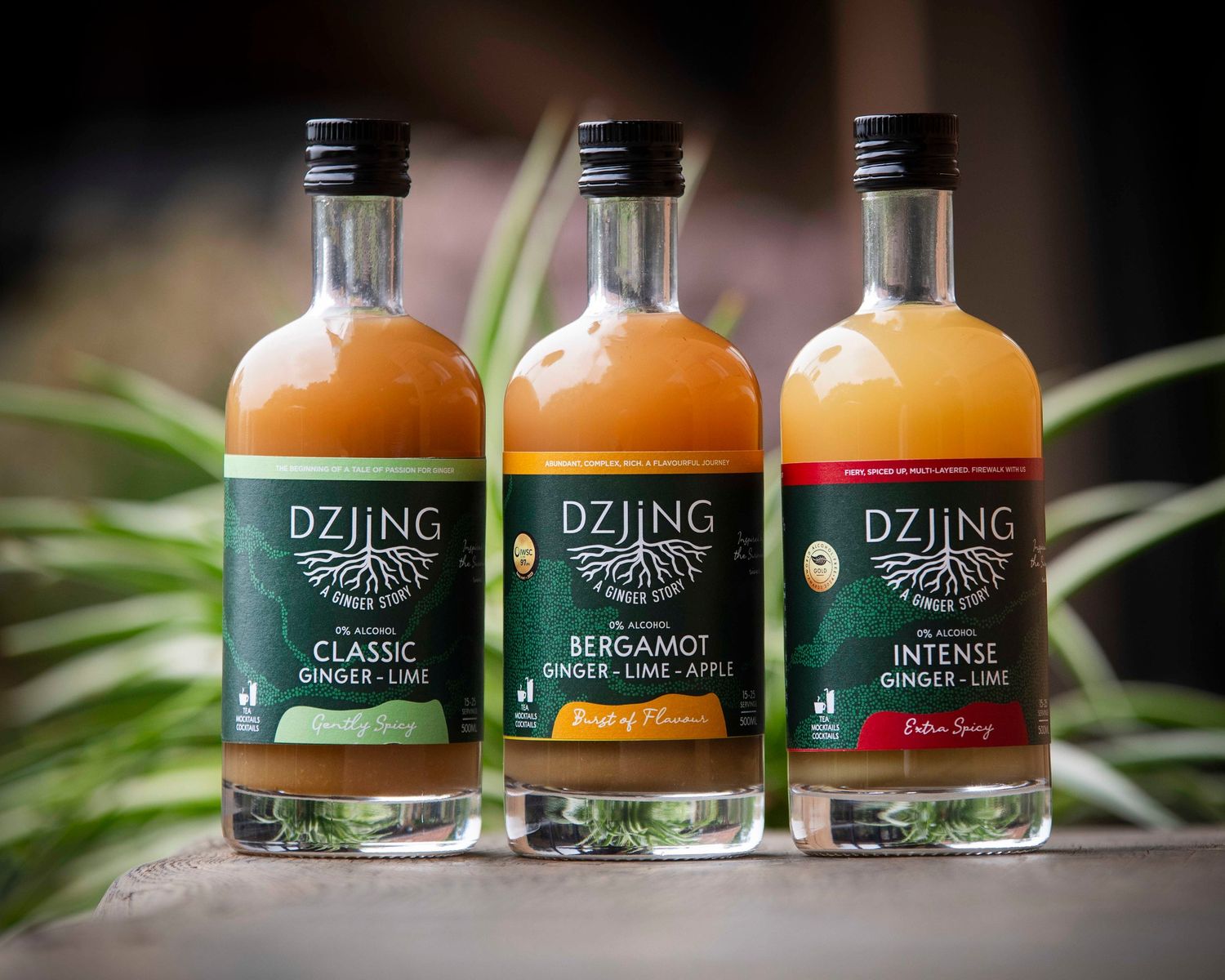 Dzjing