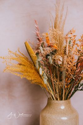 Droogbloemen