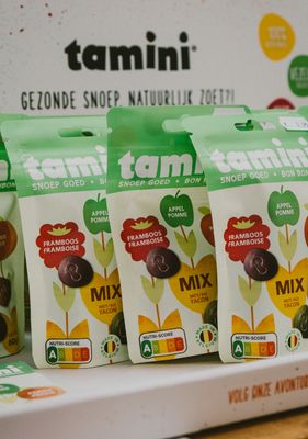 Tamini