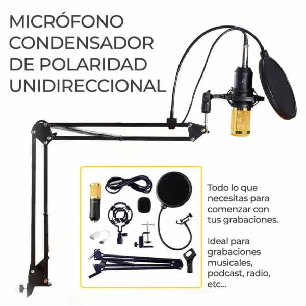 Kit profesional micrófono condensador para grabación de estudios