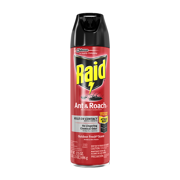 Raid Ant & Roach Killer 12/17.5oz  Out Door Fresh