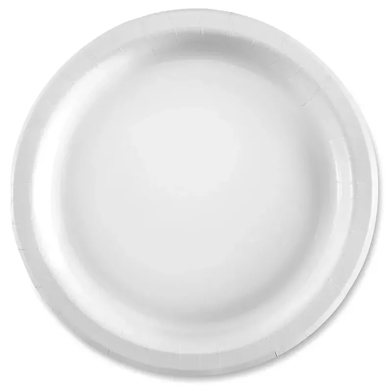 ANR Paper Plate 10''    25X20ct