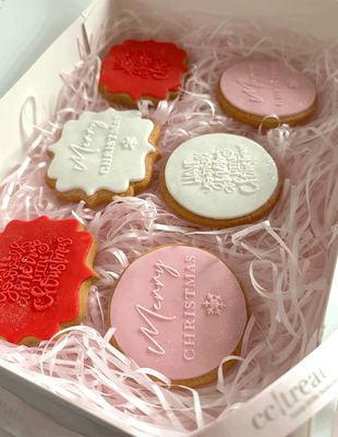 Christmas Iced Biscuits