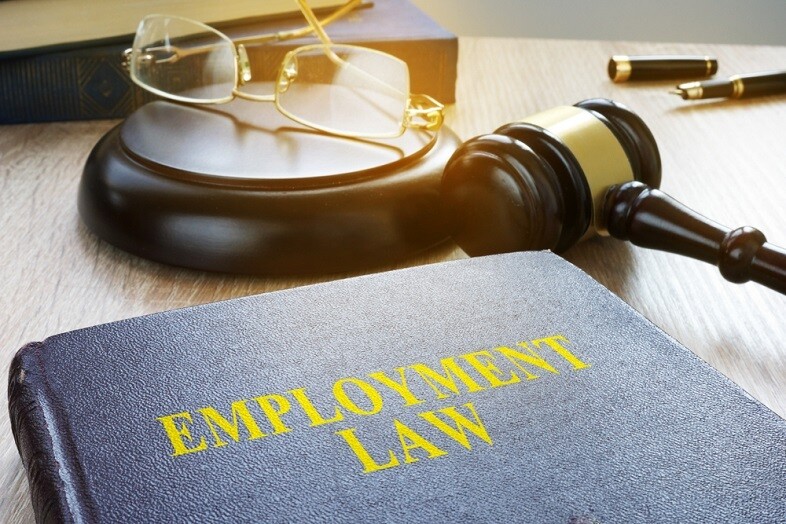Employment Laws in South Africa - Human Resources Labour Law Course