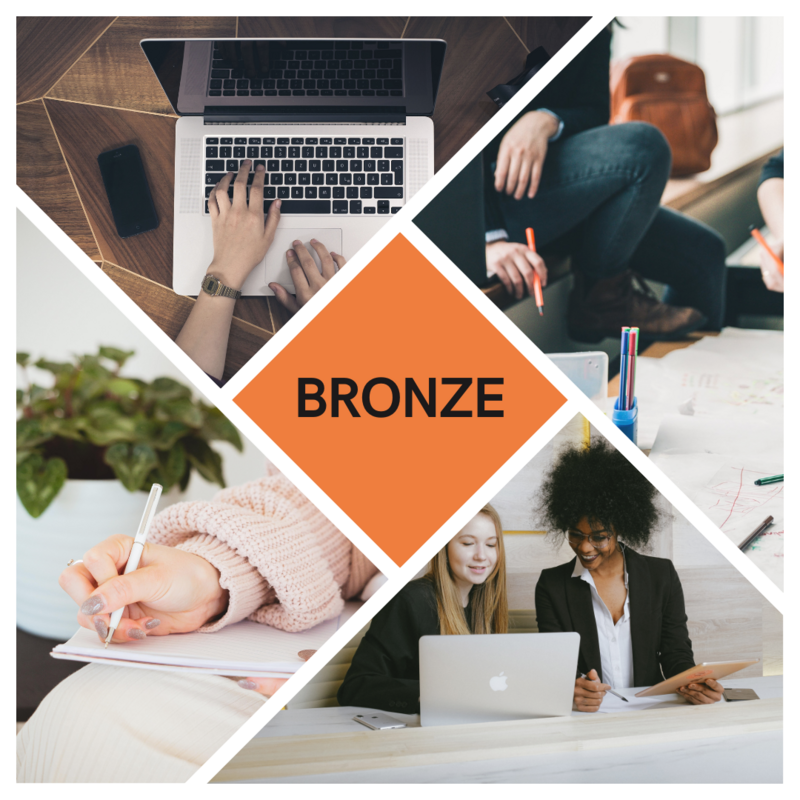 Bronze Subscription Package
