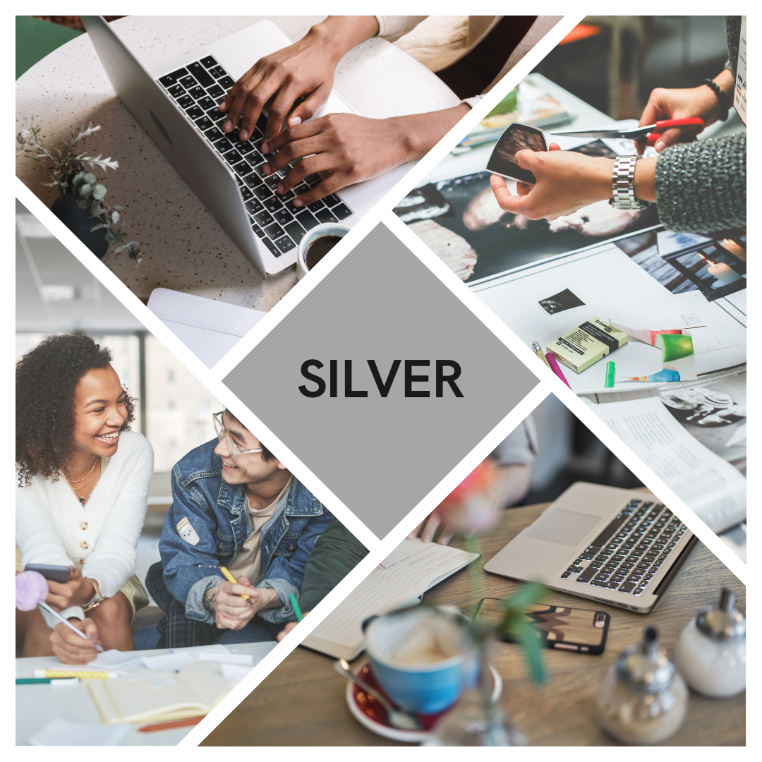 Silver Subscription Package