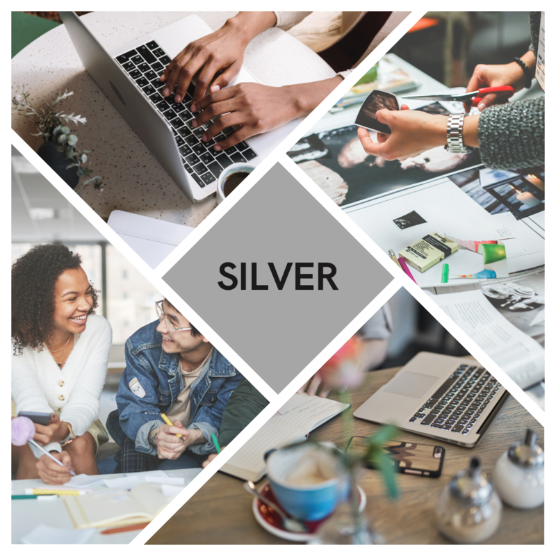 Silver Subscription Package