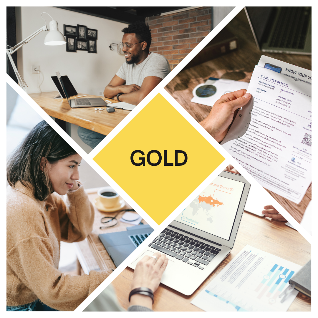 Gold Subscription Package