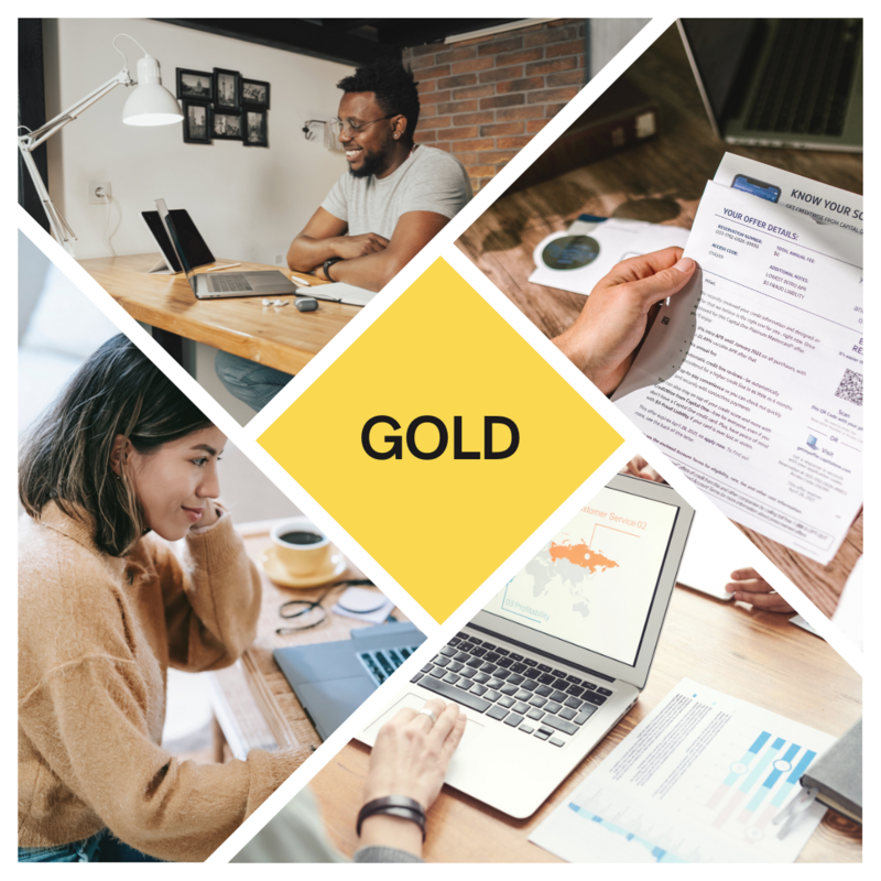 Gold Subscription Package
