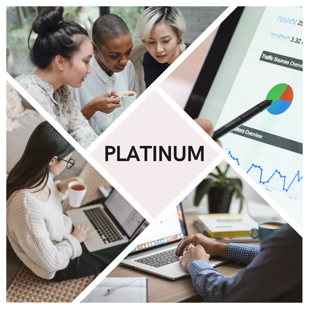 Platinum Subscription Package
