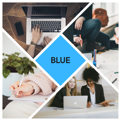 Blue Subscription Package