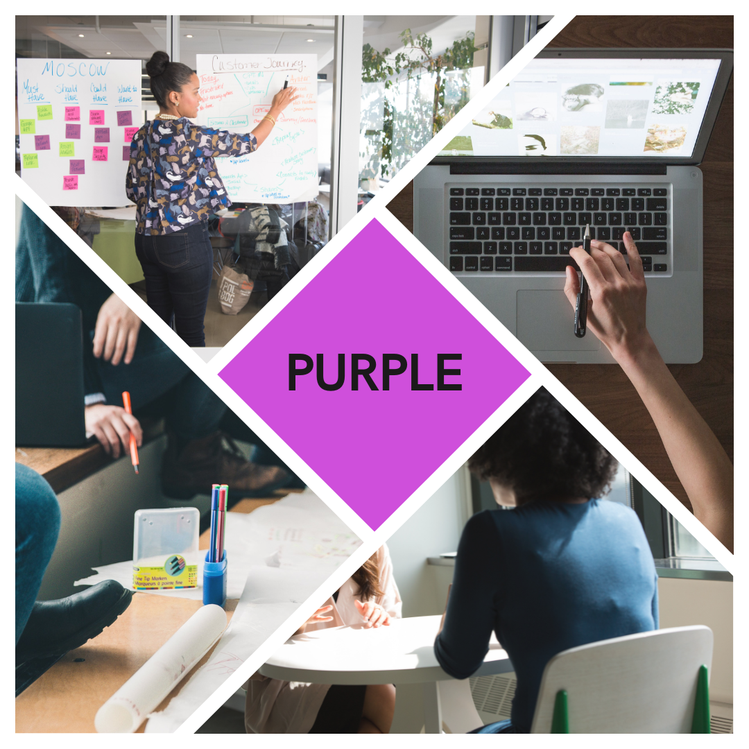 Purple Subscription Package