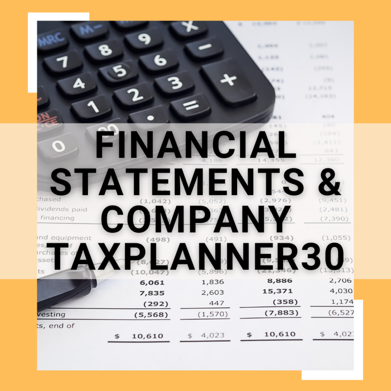Financial Statements Self-Study Package + Company Taxplanner 30 Software Program