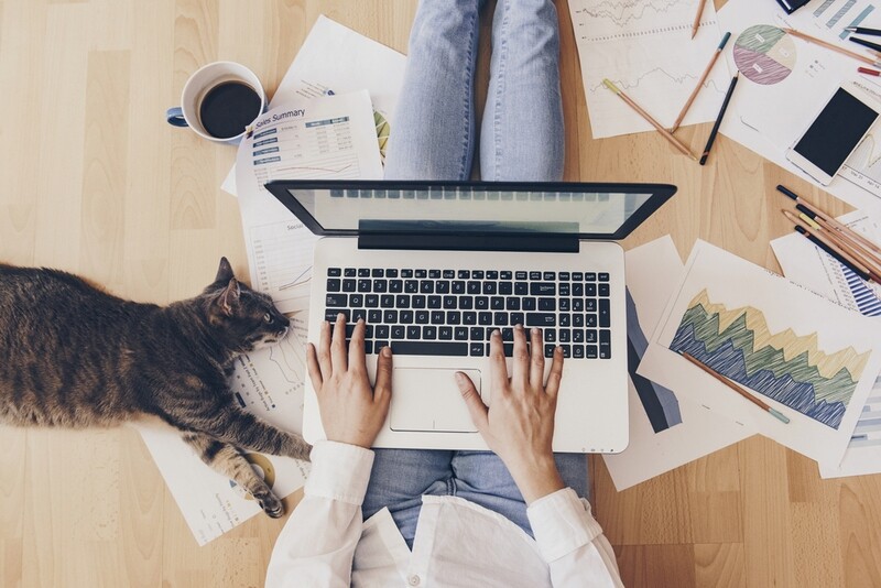 HR Labour Law: Practical &amp; Useful Templates to Use Course