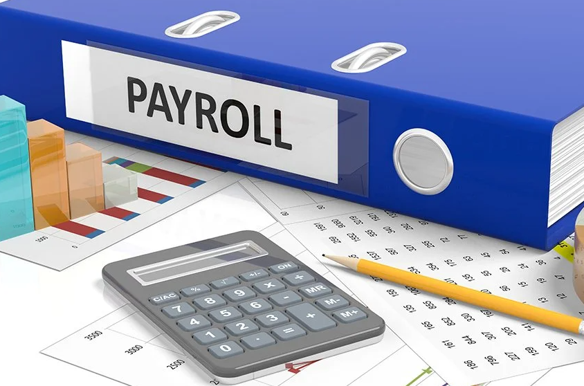 The Payroll Supreme Super Library Self-Study Package