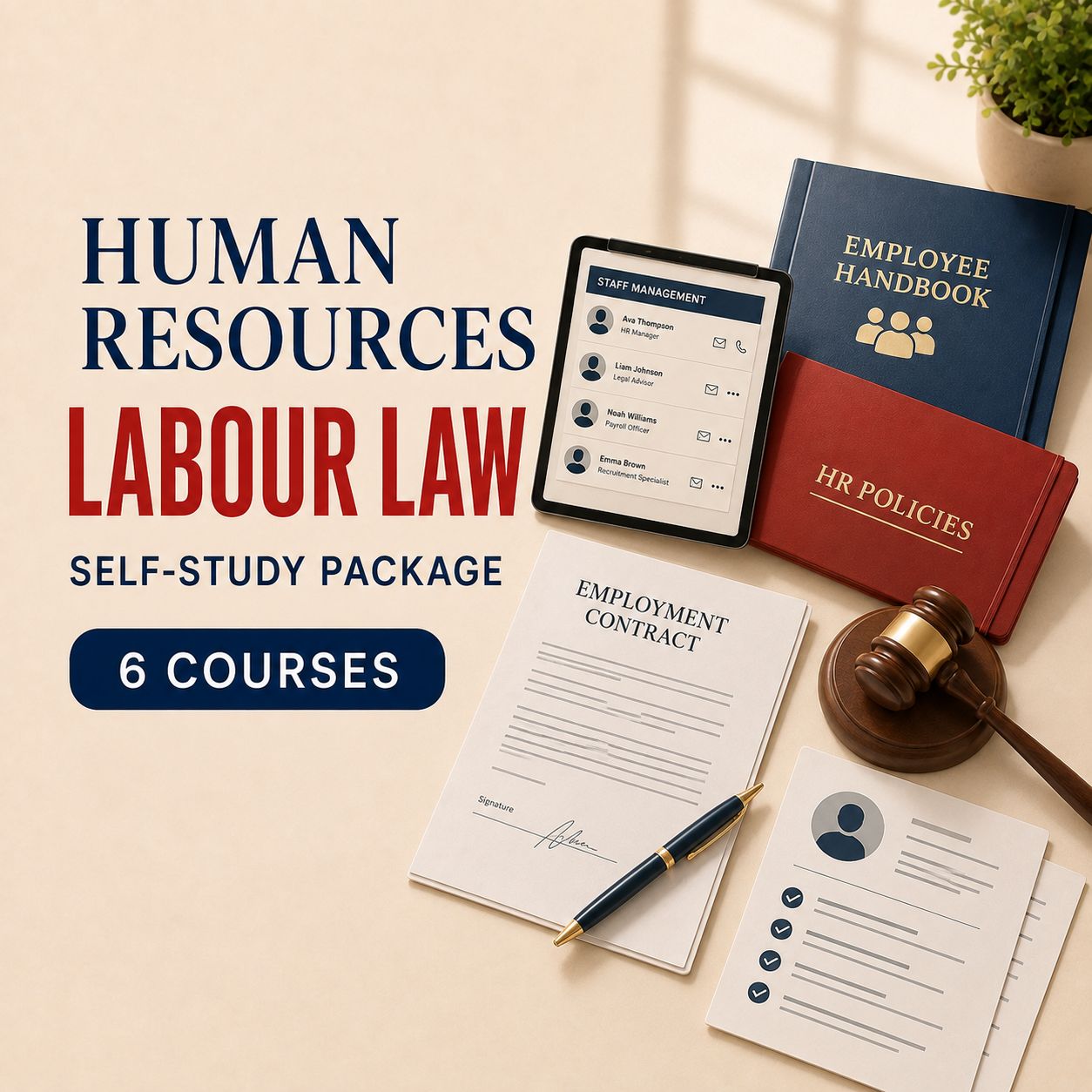 Human Resources: Labour Law Self-Study Package
