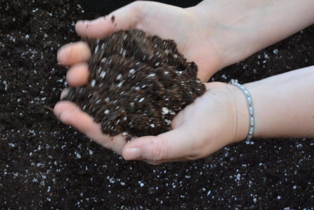 The Soil Class: Saturday, February 7, 3:30-5pm