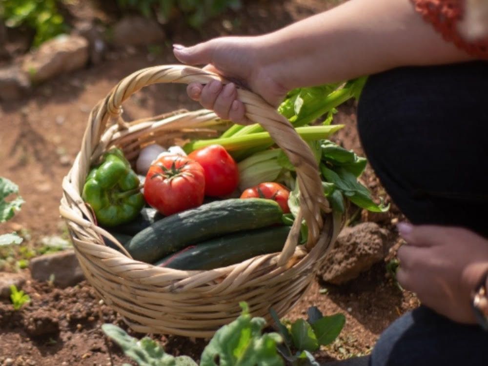 Veggie Course Class 3: Saturday, February 21, 9:30-11am