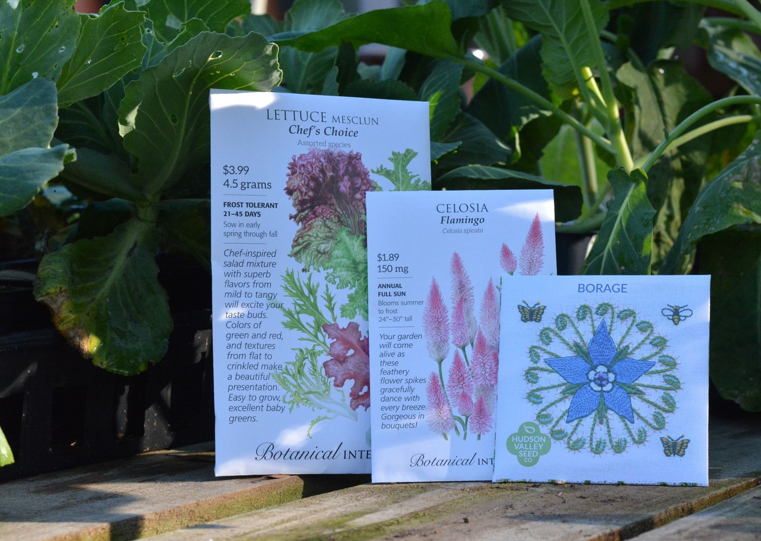 Veggie Course Class 1: Saturday, January 17, 9:30-11am