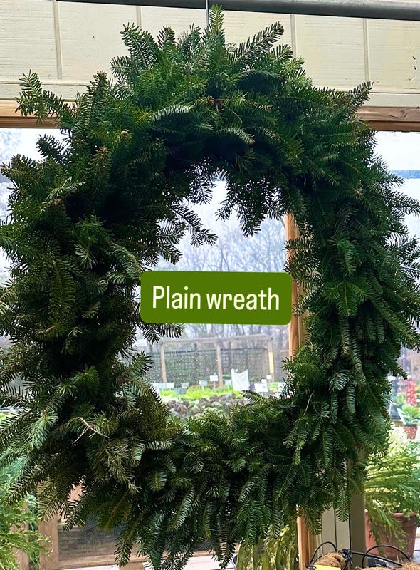 24" Basic Fraser Fir Wreath