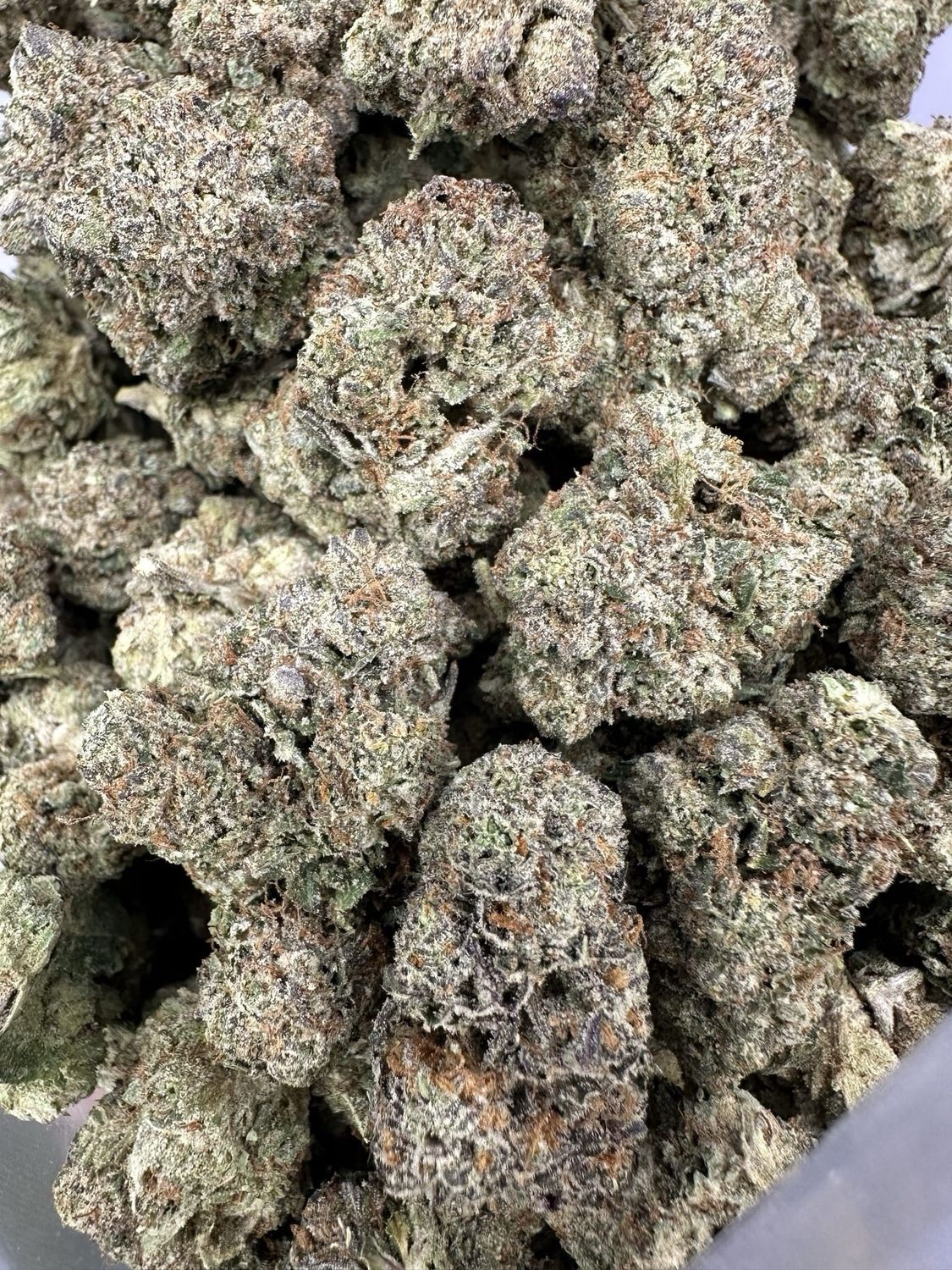 Oreos-(BC Exotic)-AAAA+