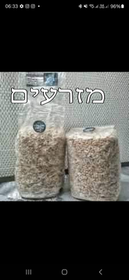 מזרעים