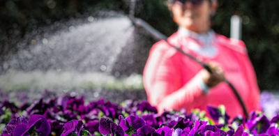 IRRIGATION